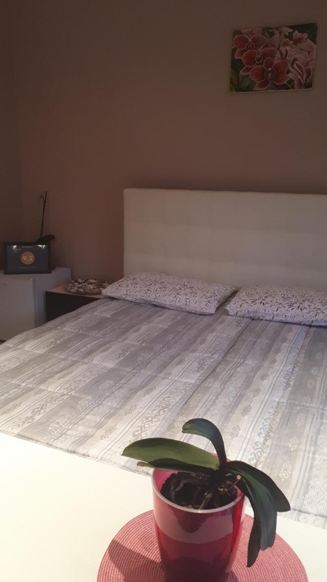 Casa Delle Orchidee Hotel Alba  Bilik gambar